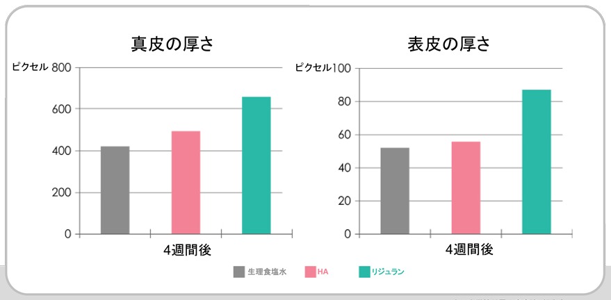 リジュラン2.jpg