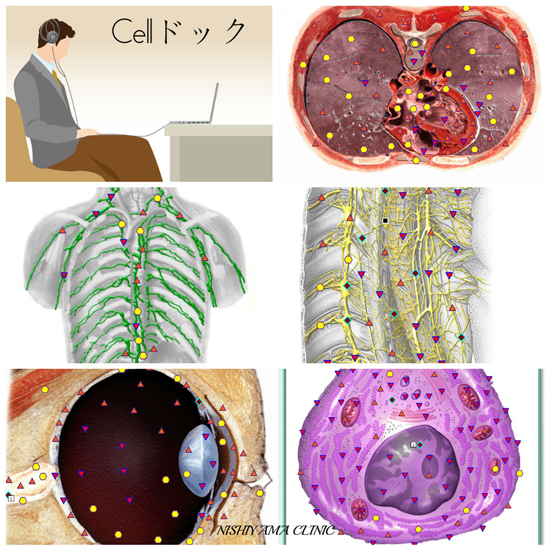 Cell-dock1.jpg